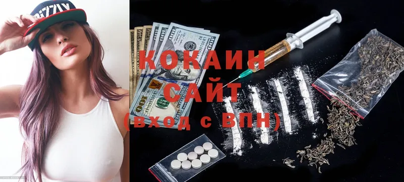 Cocaine Fish Scale  купить  цена  кракен как зайти  Амурск 